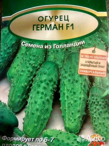 Семена огурцов герман-купить Семена огурцов герман-купить