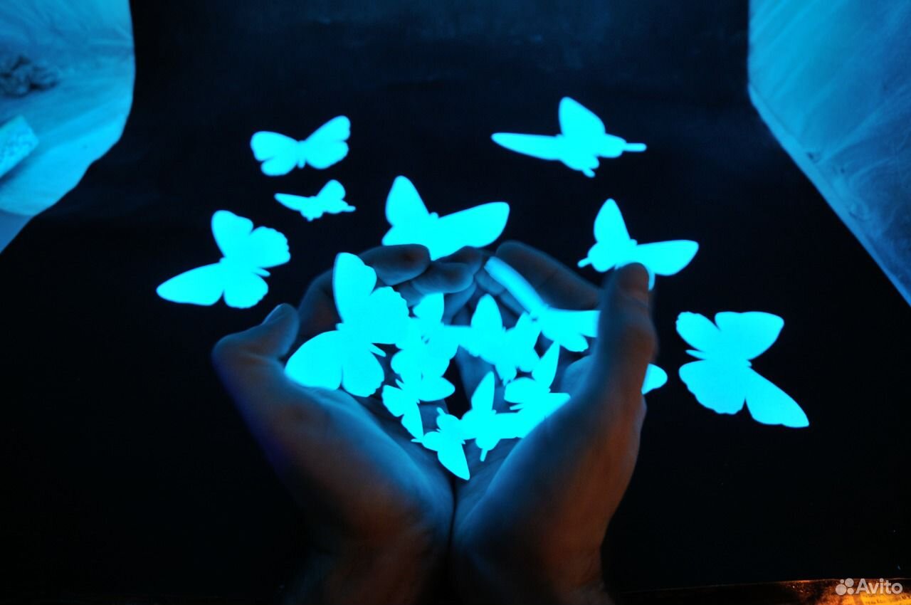 Светящиеся бабочки в темноте