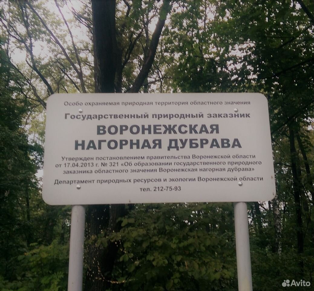 Дубрава воронеж