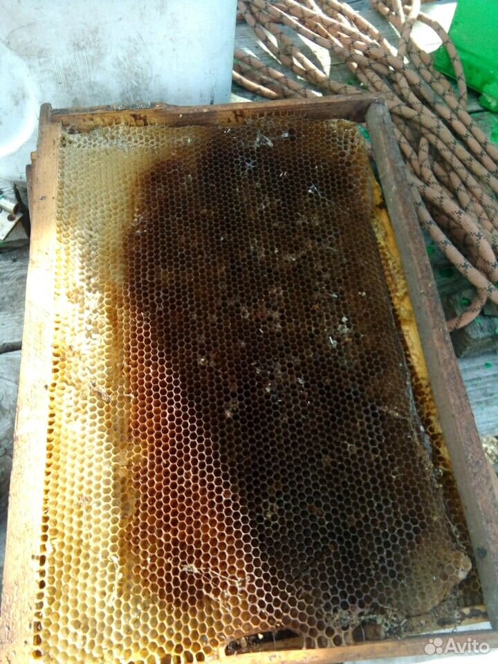 Суш для пчел, ловушек купить на Зозу.ру - фотография № 2