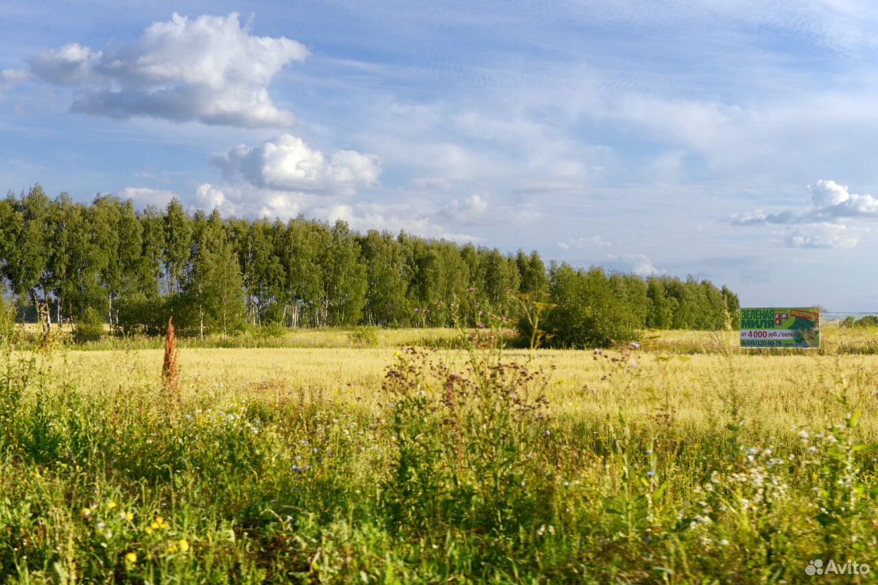 Купить Участок 6000 Рублей За Сотку