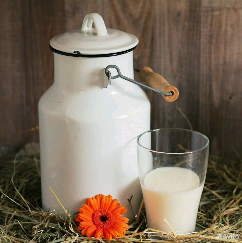 Молоко коровье домашнее купить на Зозу.ру - фотография № 1