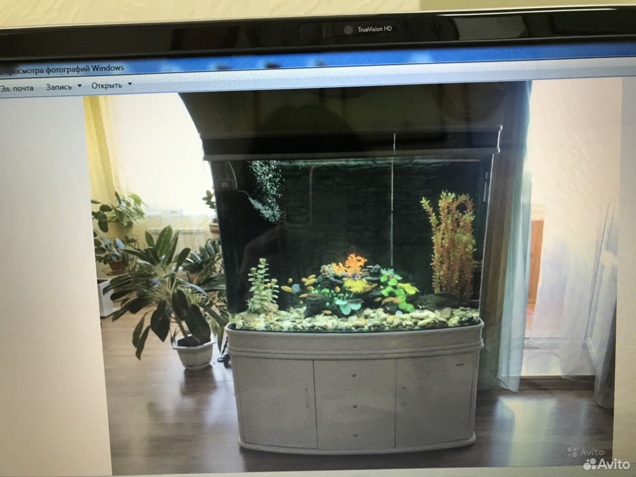 Продам очень красивый, стильный аквариум с декорац купить на Зозу.ру - фотография № 2