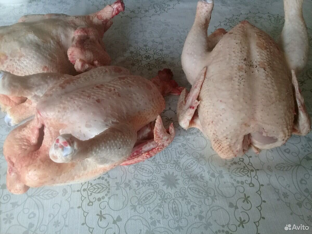 Мясо цыплят бройлеров яйца Бартер купить на Зозу.ру - фотография № 2