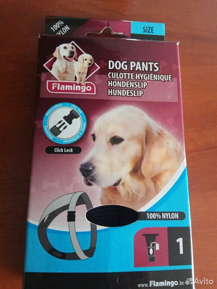 Гигиенические штанишки для собак купить на Зозу.ру - фотография № 1