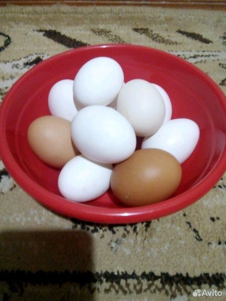 Яйца домашние, вкусные купить на Зозу.ру - фотография № 1