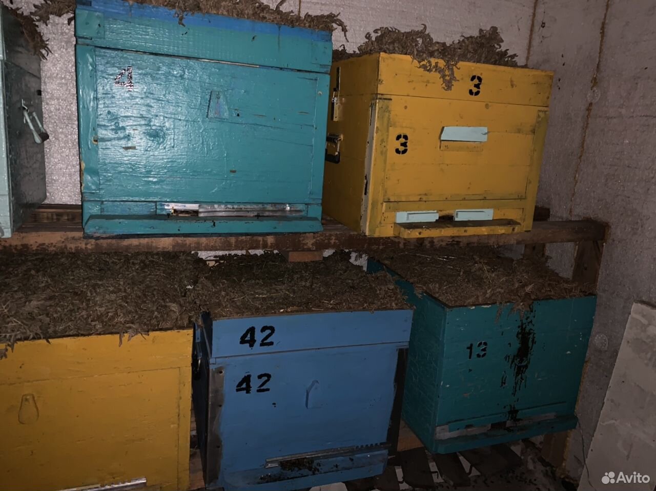 Продаю 16 ульев, пчелы купить на Зозу.ру - фотография № 3