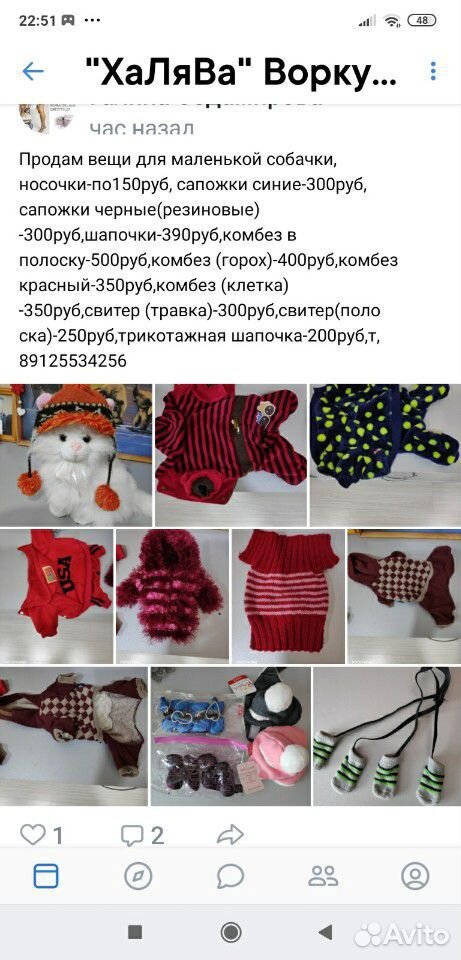 Одежда для вашего питомца купить на Зозу.ру - фотография № 1