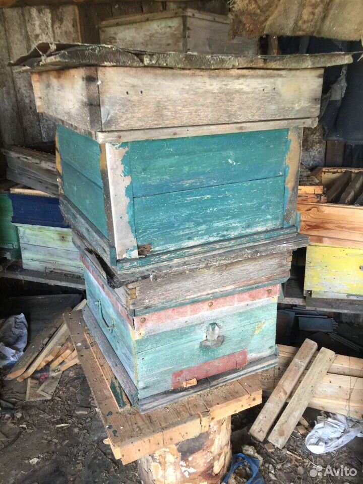 Продам ульи для пчёл, рамки купить на Зозу.ру - фотография № 1