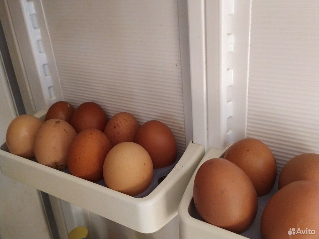 Яйца куриные купить на Зозу.ру - фотография № 2