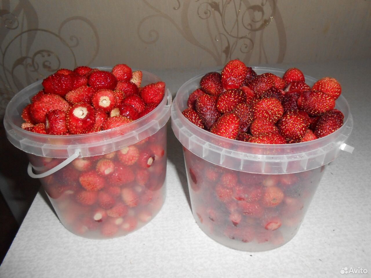 Садовые ягоды купить на Зозу.ру - фотография № 1
