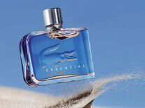 lacoste essential sport