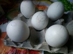 Яйцо икубационое гусиное