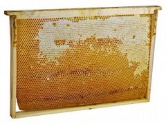 Рамки с мёдом