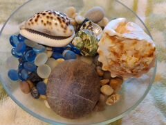 Камни и ракушки для аквариума