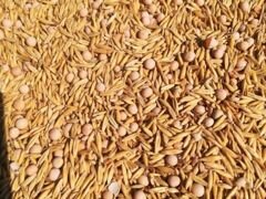 Зерно смесь: пшеница ячмень горох овёс
