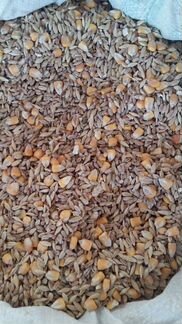 Кормосмесь: пшеница-ячмень-кукуруза