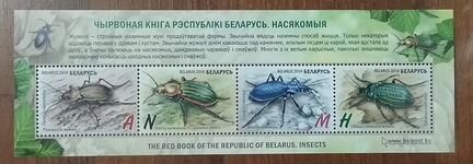 Беларусь 2016 Красная книга, насекомые