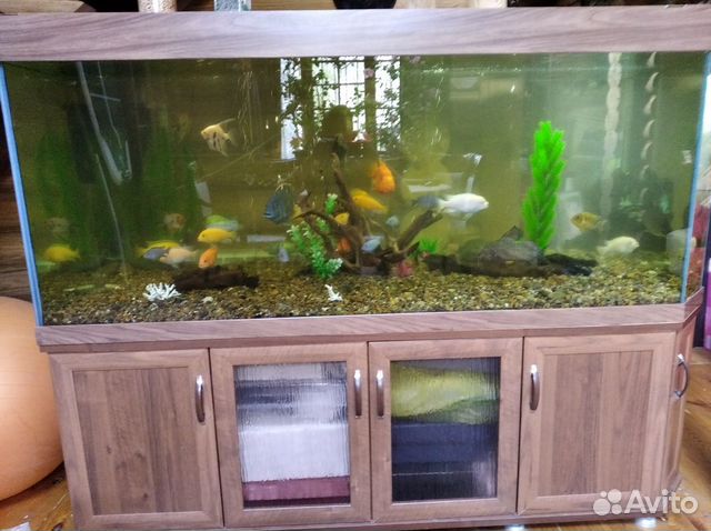 Обслуживание Аквариумов