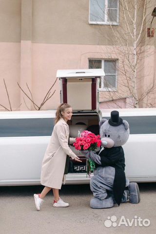 Белый медведь, гендер пати, пупсики на выписку