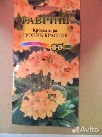 Семена комнатных и садовых растений