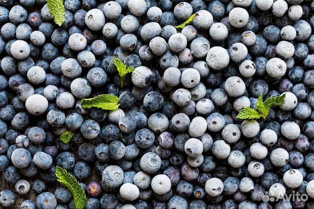 Голубика замороженная оптом от 10 кг