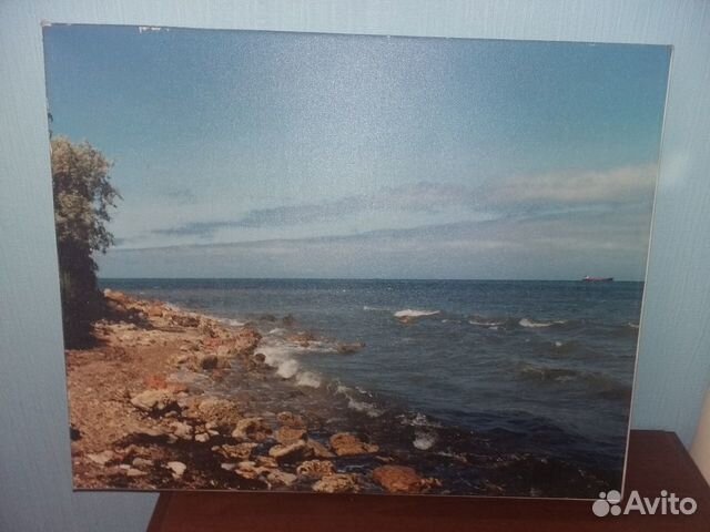 Картина 50 на 40 см