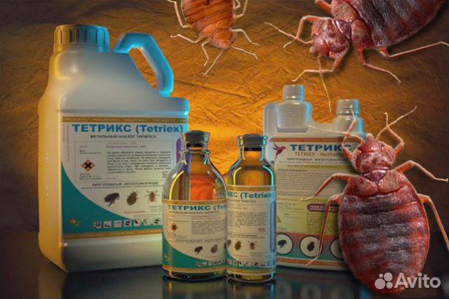 Дез средства от насекомых грызунов плесени