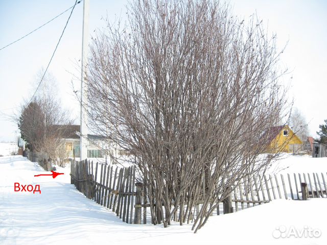 Участок 6 сот. (СНТ, ДНП)