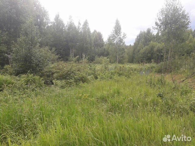 Участок 10 сот. (ИЖС)