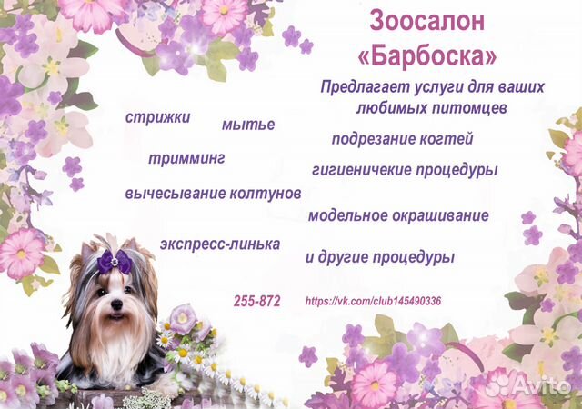 Стрижка собак и кошек Сыктывкар Стрижка собак и кошек Сыктывкар