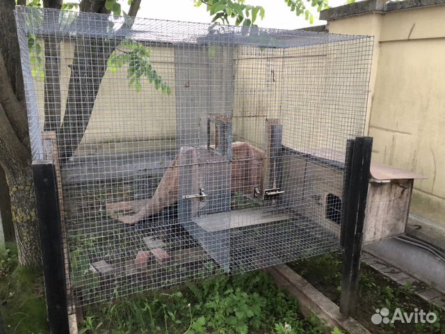 Клетка для животных