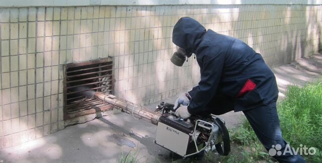 Уничтожение мышей, крыс, кротов. Дератизация
