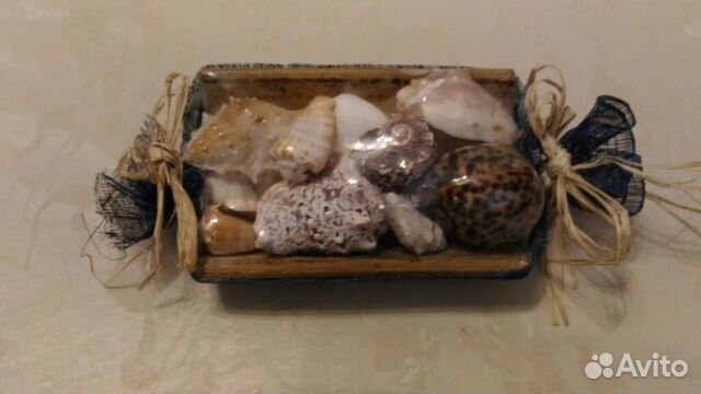 Набор ракушек 