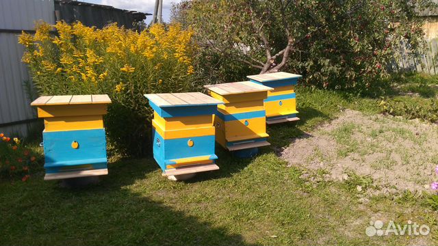 Пчелиный улей купить на Зозу.ру - фотография № 4