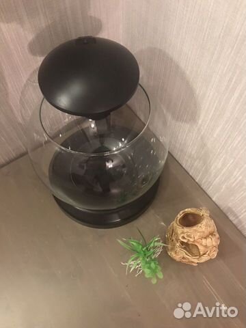 Аквариум Tetra Cascade Globe цвет черный 6,8 л купить на Зозу.ру - фотография № 5