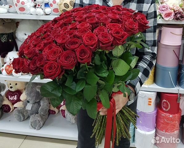 101 роза, Букеты Цветы Розы 25 51 151 201 Доставка 101 роза, Букеты Цветы Розы 25 51 151 201 Доставка