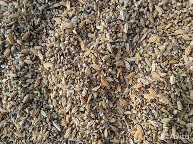 Рисовые, кукурузные Отходы, пшеница купить на Зозу.ру - фотография № 1