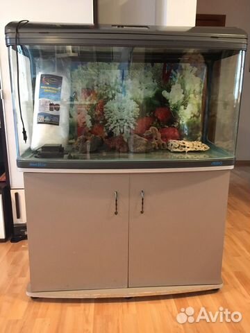 Аквариум jebo R3100 kg купить на Зозу.ру