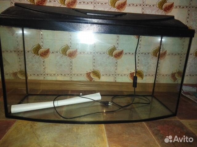 Авито Иваново Купить Аквариум Бу