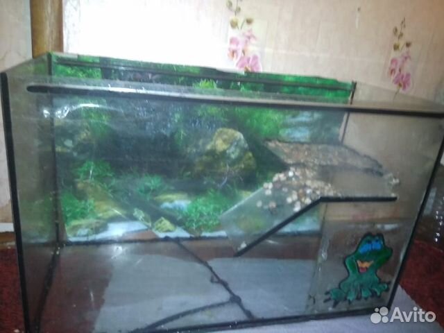 Черепаха с большим аквариумом купить на Зозу.ру - фотография № 2