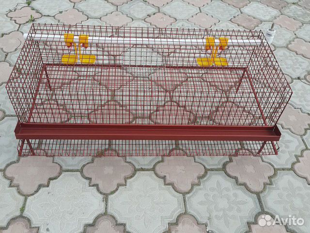 Клетка для перепелок
