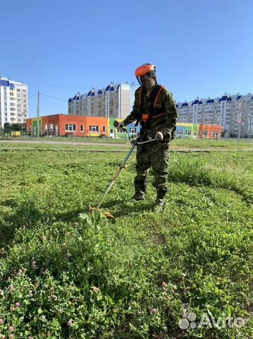 Покос травы триммером фото объявление