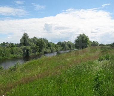 Участок 13 сот. (ИЖС)