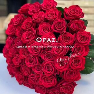 Розы 51 штука