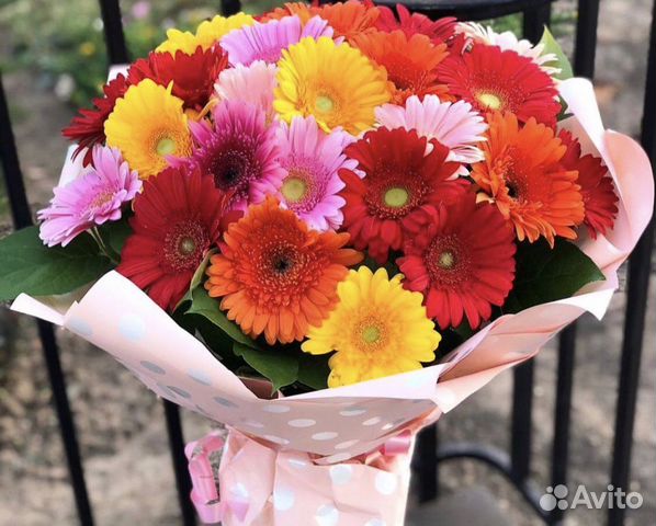Цветы букеты герберы, заказать герберы