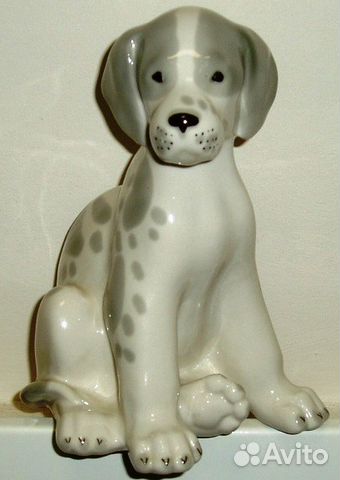 Щенок дога лфз