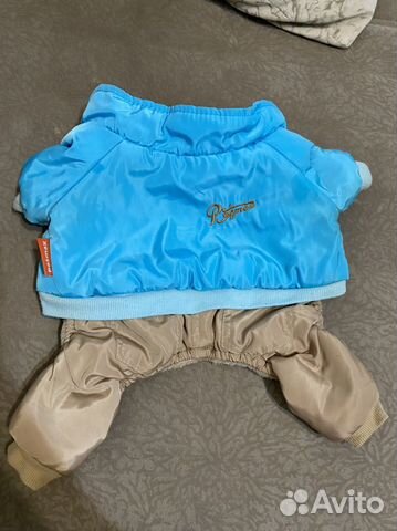 Одежда для собак