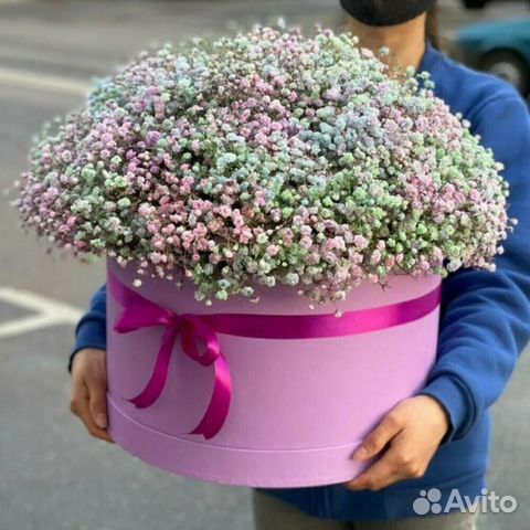 Цветы гипсофила