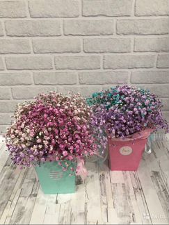 Гипсофила в коробке